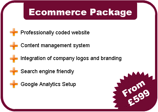 Ecommerce Website Company