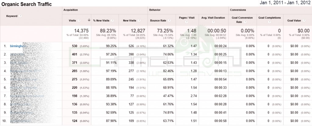 Google Analytics Screen Shot 1