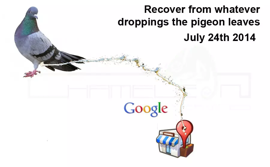 google-pigeon