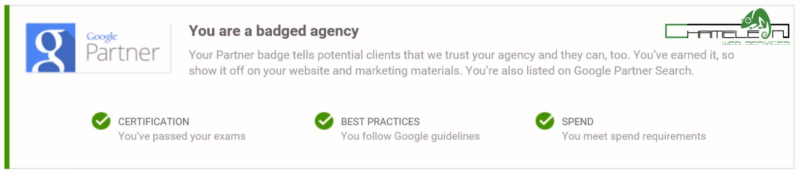Google Partner Badged Agency