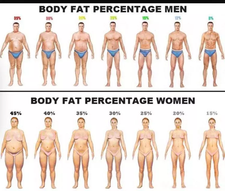 men and woman body fat examples