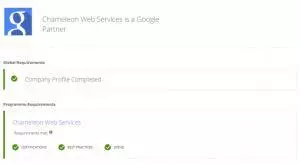Google Partner Chameleon Web Services