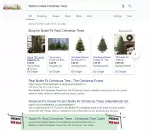 Noble Fir Real Christmas Trees