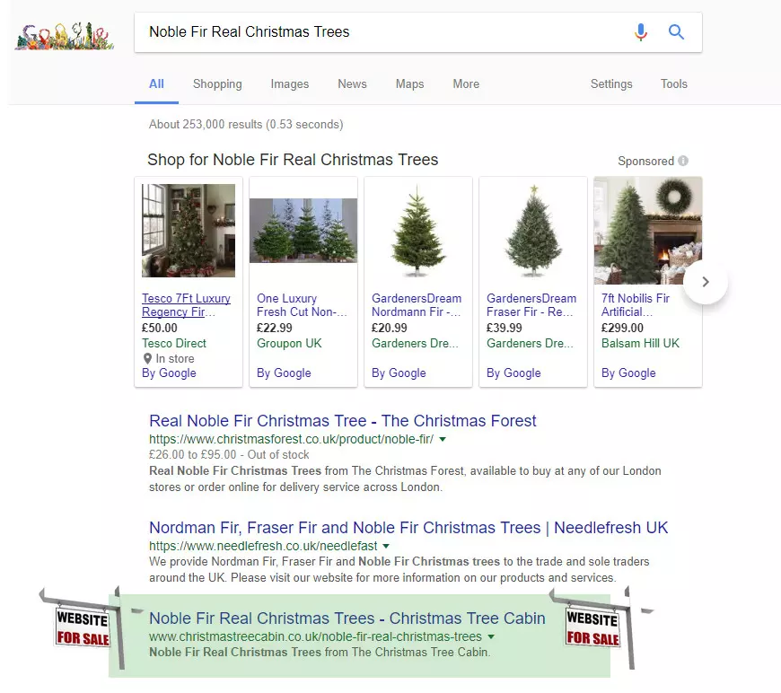Noble Fir Real Christmas Trees